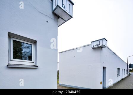 St. Georg Garden, Bauhaus, monumento architettonico, architettura, OttoHaesler, autunno, celle, Bassa Sassonia, Germania, Europa Foto Stock