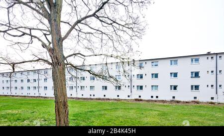 St. Georg Garden, Bauhaus, monumento architettonico, architettura, OttoHaesler, autunno, celle, Bassa Sassonia, Germania, Europa Foto Stock