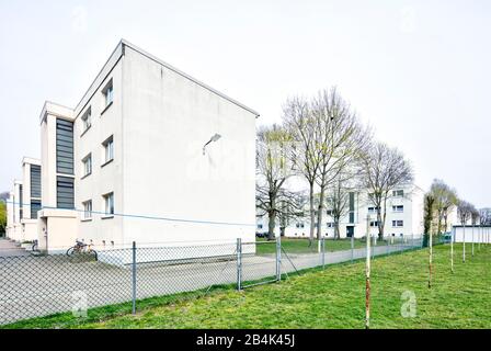 St. Georg Garden, Bauhaus, monumento architettonico, architettura, OttoHaesler, autunno, celle, Bassa Sassonia, Germania, Europa Foto Stock