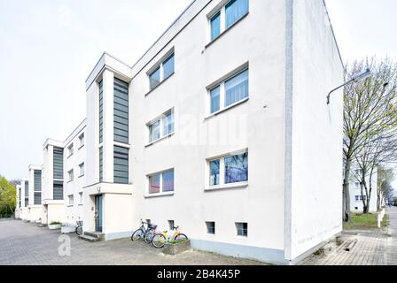 St. Georg Garden, Bauhaus, monumento architettonico, architettura, OttoHaesler, autunno, celle, Bassa Sassonia, Germania, Europa Foto Stock