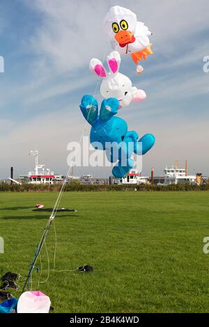 Deltaplano, kite, volare, Norddeich, nord, Mare del Nord, Ostfriesland, Bassa Sassonia, Germania Foto Stock