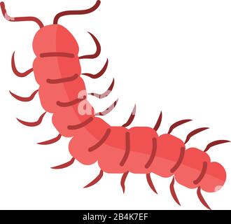 centipede insetto su sfondo bianco, icona stile piatto, illustrazione vettoriale Illustrazione Vettoriale