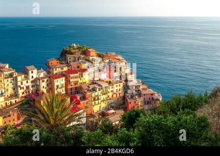 Italia, Cinque Terre, Manarola, Toscana, Liguria Foto Stock