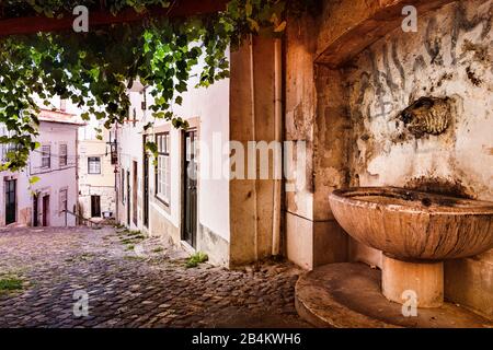 Europa, Portogallo, capitale, centro storico di Lisbona, Alfama, vecchia fontana in un vicolo Foto Stock