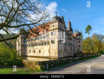 Germania, Baviera, Mitwitz, castello rinascimentale Mitwitz. Il castello ospita l''Ecological Education Center' Upper Franconia, la BeeKeeping School Upper Franconia e un museo dell''apicoltura. Mitwitz è la porta d'ingresso alla Foresta Franconiana Foto Stock