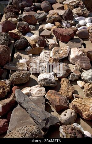 Mostra, Shark Museum, Islanda, Europa Foto Stock