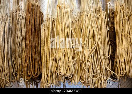 Mostra, Shark Museum, Islanda, Europa Foto Stock