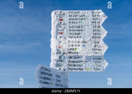 Germania, Baden-Württemberg, Foresta Nera, l'Hornisgrende con 1163 m è la montagna più alta della Foresta Nera settentrionale. Signpost nel bog. Foto Stock