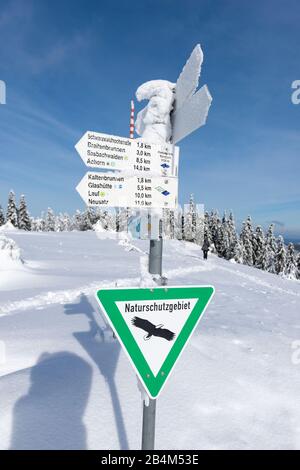 Germania, Baden-Württemberg, Foresta Nera, l'Hornisgrende con 1163 m è la montagna più alta della Foresta Nera settentrionale. Signpost nel bog. Foto Stock
