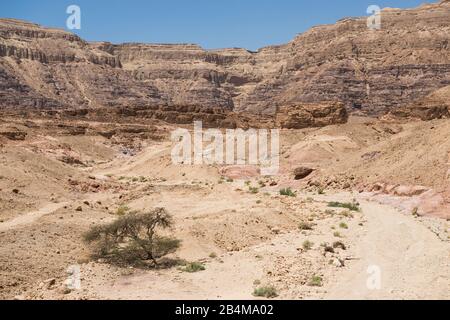 Medio Oriente, Israele, deserto di Negev, Parco di Timna, valle del paesaggio desertico con macchia e ruscello asciutto Foto Stock