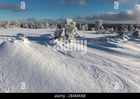 Germania, Baden-Wuerttemberg, Parco Nazionale della Foresta Nera, High Road della Foresta Nera, Schliffkopf, profondo paesaggio invernale innevato Foto Stock