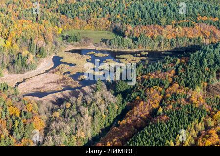 Germania, Baden-Württemberg, regione del Lago di Costanza, Moorsee, conifere e colorati alberi decidui in autunno dall'alto Foto Stock