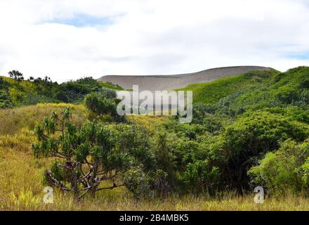 Il paesaggio del Parco Nazionale delle dune di sabbia di Sigatoka, su viti Levu, Fiji, con enormi dune mescolate con fitta vegetazione tropicale. Foto Stock