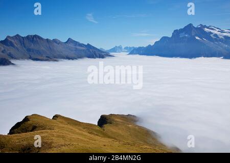 Vista da Maennlichen vicino a Wengen sulla valle di Luetschental, sotto la nebbia, con le montagne intorno al Faulhorn e le cime ghiacciate sul Wetterhorn. In lontananza il Titlis. Foto Stock