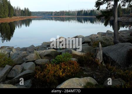 Escursioni nel Harz am Oderteich Foto Stock