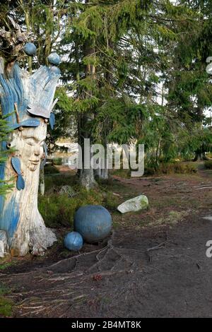 Escursioni in Harz am Oderteich, scultura Foto Stock
