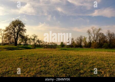 Serata nella riserva naturale Sulzheimer Gipshügel, distretto di Schweinfurt, Bassa Franconia, Baviera, Germania Foto Stock