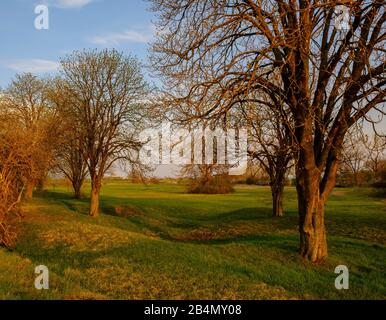 Serata nella riserva naturale Sulzheimer Gipshügel, distretto di Schweinfurt, Bassa Franconia, Baviera, Germania Foto Stock