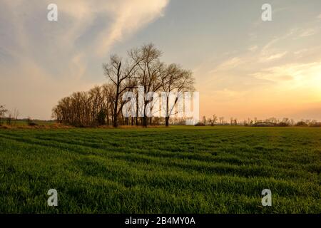 Serata nella riserva naturale Sulzheimer Gipshügel, distretto di Schweinfurt, Bassa Franconia, Baviera, Germania Foto Stock