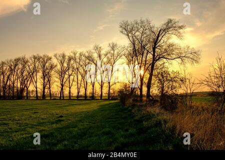 Serata nella riserva naturale Sulzheimer Gipshügel, distretto di Schweinfurt, Bassa Franconia, Baviera, Germania Foto Stock