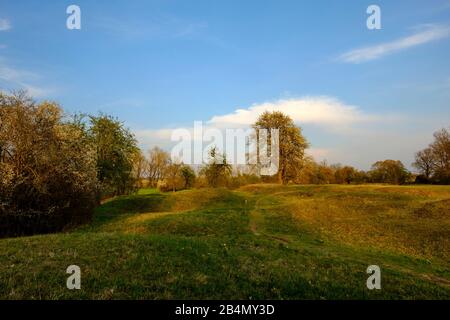 Serata nella riserva naturale Sulzheimer Gipshügel, distretto di Schweinfurt, Bassa Franconia, Baviera, Germania Foto Stock