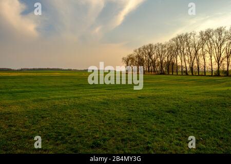 Serata nella riserva naturale Sulzheimer Gipshügel, distretto di Schweinfurt, Bassa Franconia, Baviera, Germania Foto Stock