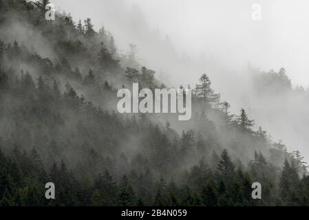 Nebbia e nuvole su un pendio boscoso di montagna nel Karwendel Foto Stock