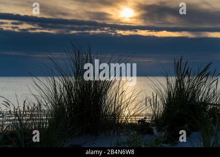 Mar Baltico con erba spiaggia dorata gialla alla luce del sole, estate sul Mar Baltico e erbe sulla spiaggia, belle nuvole sulla spiaggia del Mar Baltico, lunga ombra della spiaggia erba sulla duna Foto Stock