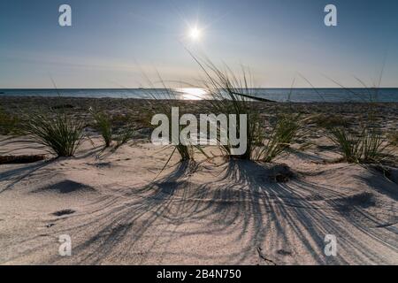 Mar Baltico con erba spiaggia dorata gialla alla luce del sole, estate sul Mar Baltico e erbe sulla spiaggia, belle nuvole sulla spiaggia del Mar Baltico, lunga ombra della spiaggia erba sulla duna Foto Stock