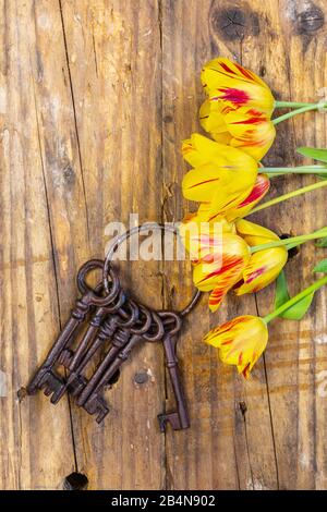 Vintage Still life, tulipano, chiave su sfondo di legno Foto Stock