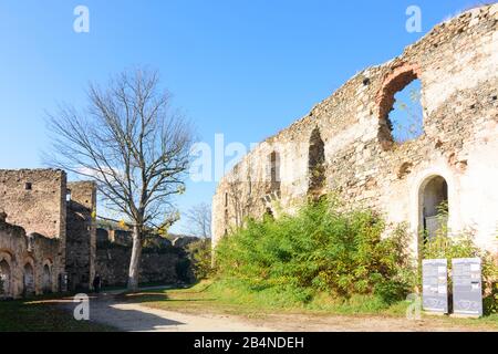 Gars am Kamp, rovine del castello Gars in Austria, Bassa Austria, zona Waldviertel Foto Stock