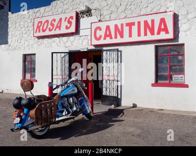 Harley Davidson al di fuori della Cantina di Rosa Foto Stock