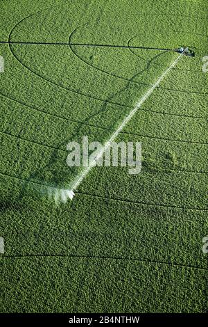 Una vista aerea di un irrigatore agricolo a perno centrale utilizzato per irrigare un campo di patate dell'Idaho. Foto Stock
