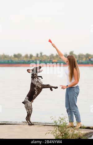 Ragazza attraente che cammina il cane. Divertirsi giocando all'aperto. Bella donna che allenano Un Puntatore shorthair tedesco sulla riva del fiume. Umore giocoso. Concetti di amicizia, animali domestici, insieme Foto Stock