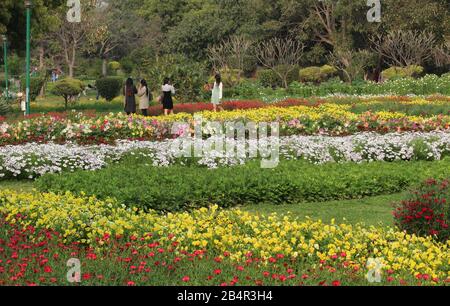 Fiori Colorati Di Primavera Nel Parco Nehru, Nuova Delhi, India Foto Stock