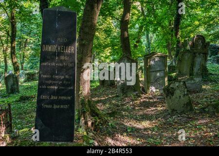 Lapidi Al Nuovo Cimitero Ebraico Di Przemysl, Malopolska, Polonia Foto Stock