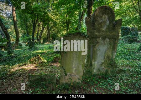 Lapidi Al Nuovo Cimitero Ebraico Di Przemysl, Malopolska, Polonia Foto Stock