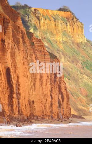 Arenaria vicino alla città di Sidmouth, Devon sulla costa giurassica Foto Stock