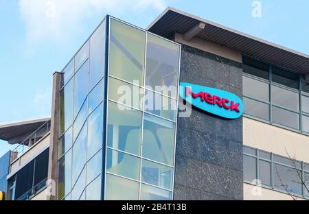 Logo Merck di colore rosa blu alle pareti di un edificio Merck. Merck è una delle più grandi aziende farmaceutiche del mondo. Darmstadt, Germania. Foto Stock