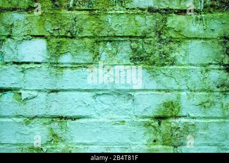 Un muro di mattoni di colore verde con erba e vegetazione e esso. Primo piano. Foto Stock