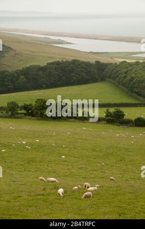 Viste dalla collina di Santa Caterina verso Abbotsbury e la spiaggia di Chesil sulla West Dorset Heritage Coast, Dorset, Inghilterra, in una giornata di estate mistrosa. Foto Stock