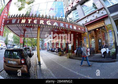 Wintergarten, Potsdamer Strasse e il Tiergarten, nel quartiere Mitte di Berlino, Deutschland Foto Stock