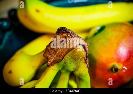 Recipiente di frutta da cucina preso nel Galles del Sud nel regno unito Foto Stock