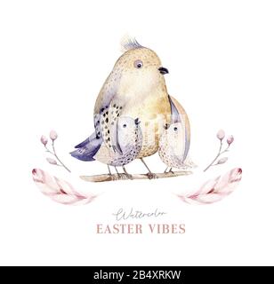 Acquerello happt nido di pasqua con uova di uccello con ramificazione e piuma. Illustrazione a mano della molla. Uovo di boho e nidi di piuma wreath. Decorazione di festa Foto Stock
