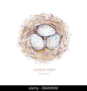 Acquerello happt nido di pasqua con uova di uccello con ramificazione e piuma. Illustrazione a mano della molla. Uovo di boho e nidi di piuma wreath. Decorazione di festa Foto Stock