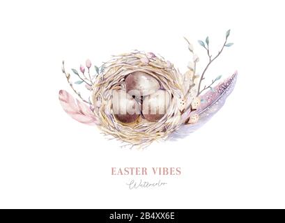 Acquerello happt nido di pasqua con uova di uccello con ramificazione e piuma. Illustrazione a mano della molla. Uovo di boho e nidi di piuma wreath. Decorazione di festa Foto Stock