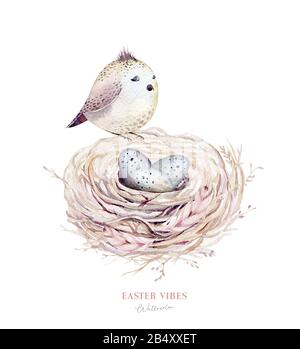 Acquerello happt nido di pasqua con uova di uccello con ramificazione e piuma. Illustrazione a mano della molla. Uovo di boho e nidi di piuma wreath. Decorazione di festa Foto Stock