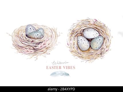 Acquerello happt nido di pasqua con uova di uccello con ramificazione e piuma. Illustrazione a mano della molla. Uovo di boho e nidi di piuma wreath. Decorazione di festa Foto Stock