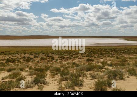 Lago di sale essiccato nella steppa del Kazakistan, distretto di Aral Foto Stock