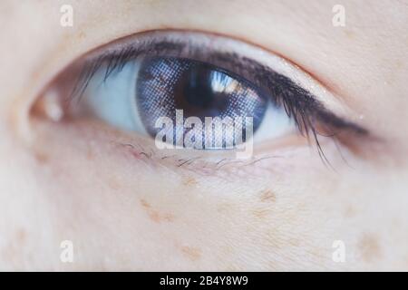 Macro orizzontale primo piano di occhio marrone umano con lente a contatto blu chiaro, scienza e tecnologia immagine concettuale Foto Stock